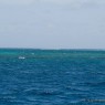 Middle Reef - catamarani noleggio Caraibi - © Galliano